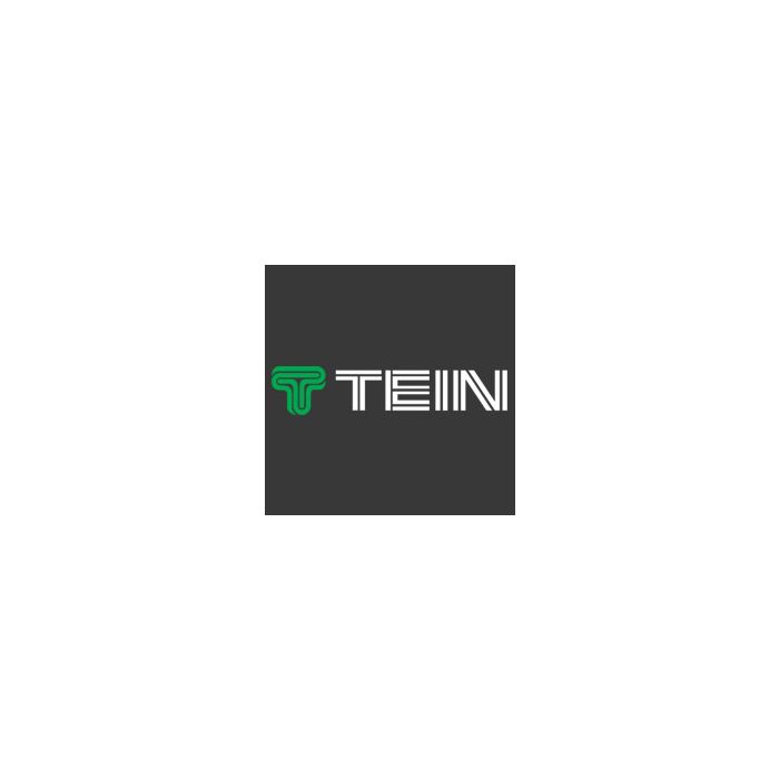 Pegatina con el logo de Tein en verde y blanco - 20 cm