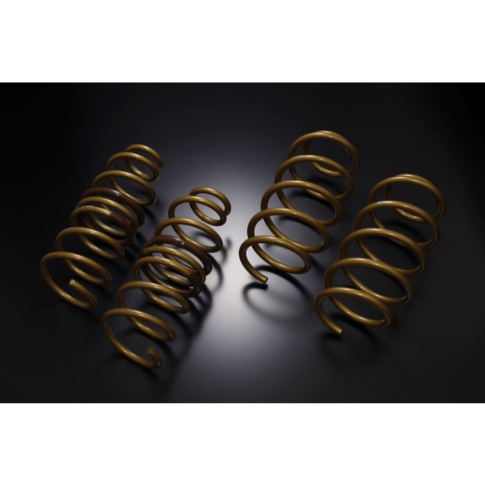 Tein High Tech Springs for Ford Focus