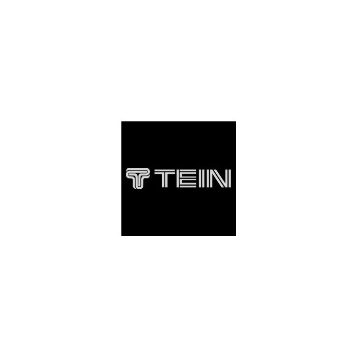 Pegatina con el logo de Tein en color plata - 30 cm