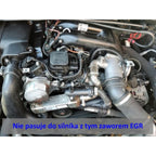 EGR valve delete kit with blanking plate for BMW with 2.0, 2.5, 3.0 D M47N2 and M57N2 engines.