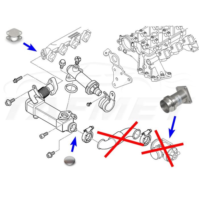EGR Valve Removal Kit with Blanking Plate for BMW with 3.0 D M57N Engines