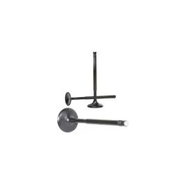 Intake valve Black Nitrided SuperTech, Nissan Patrol TB48DE (+1.5mm Dish)