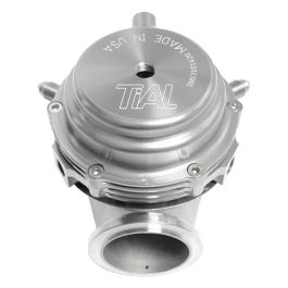 Wastegate Tial MVR 44mm silver, all springs