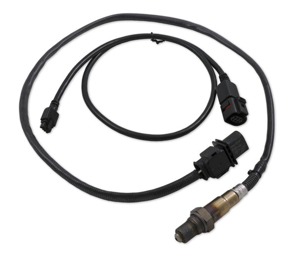 Kit de actualización Innovate Bosch LSU4.9, 3 ft (cable del sensor + sonda de O2)