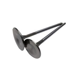 Intake valves BC Brian Crower BC3604 37mm Subaru EJ series